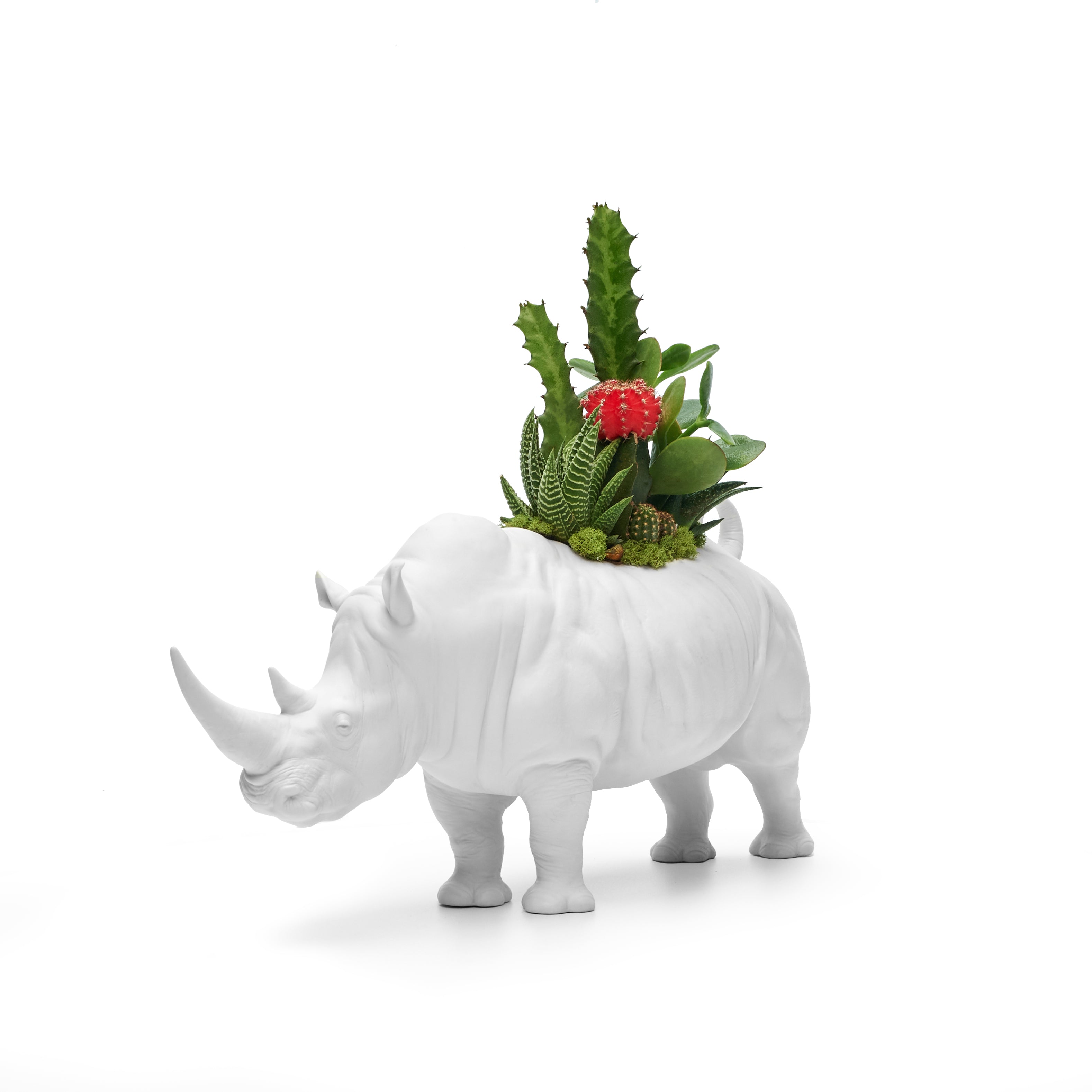 Lladró Porcelain - Rhino Garden – PLANT THE FUTURE