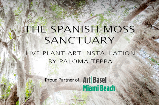 Plant The Future at Art Basel 2024