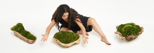 Moss Bowls: Indoor Tabletop Gardens