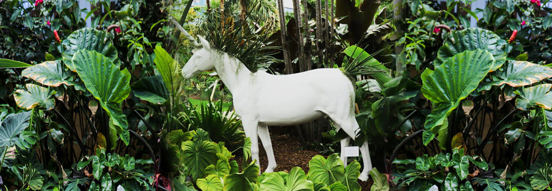 Unicorn Naming Competition: Plant the Future & Miami Beach Botanical Gardens Partnership