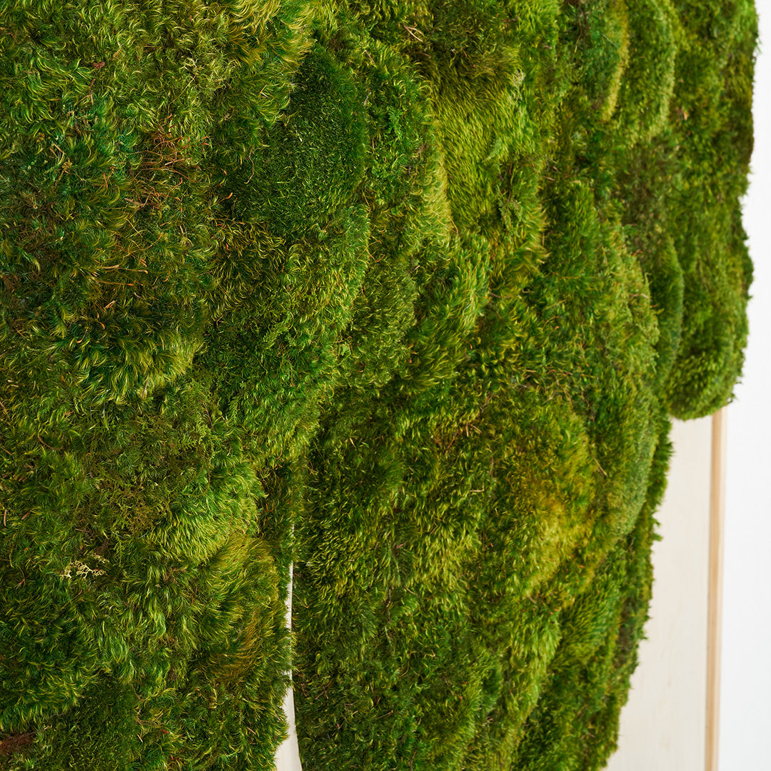 Moss Art - Abstract Series No. 046 (3' x 2')