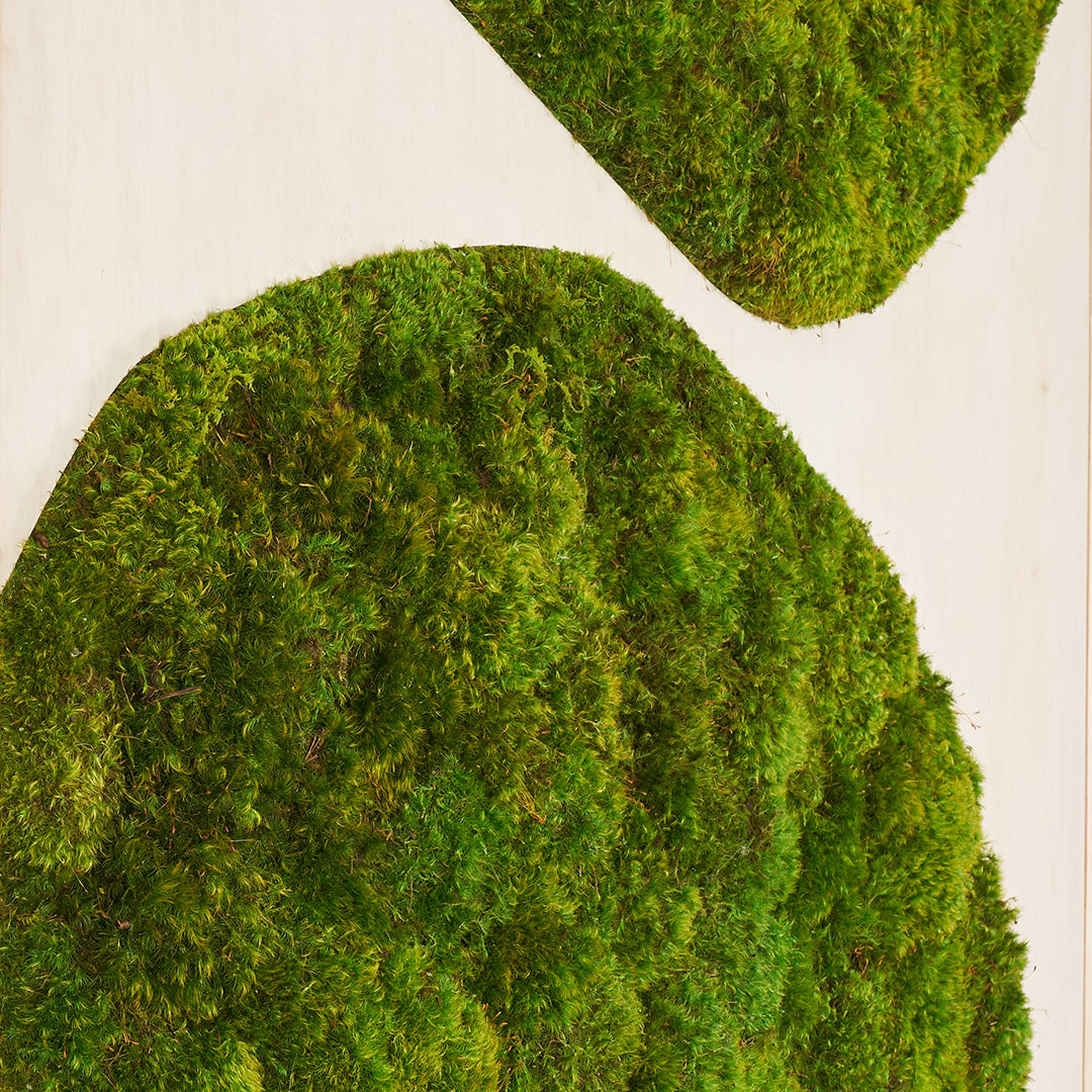 Moss Art - Abstract Series No. 042 (3' x 2')