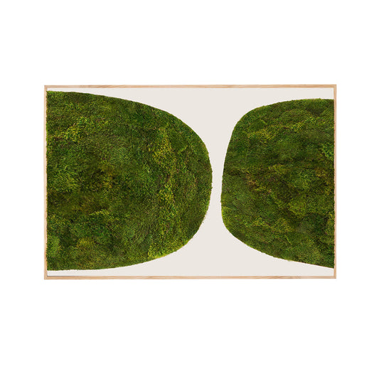 Moss Art - Abstract Series No. 025 (6' x 4') 