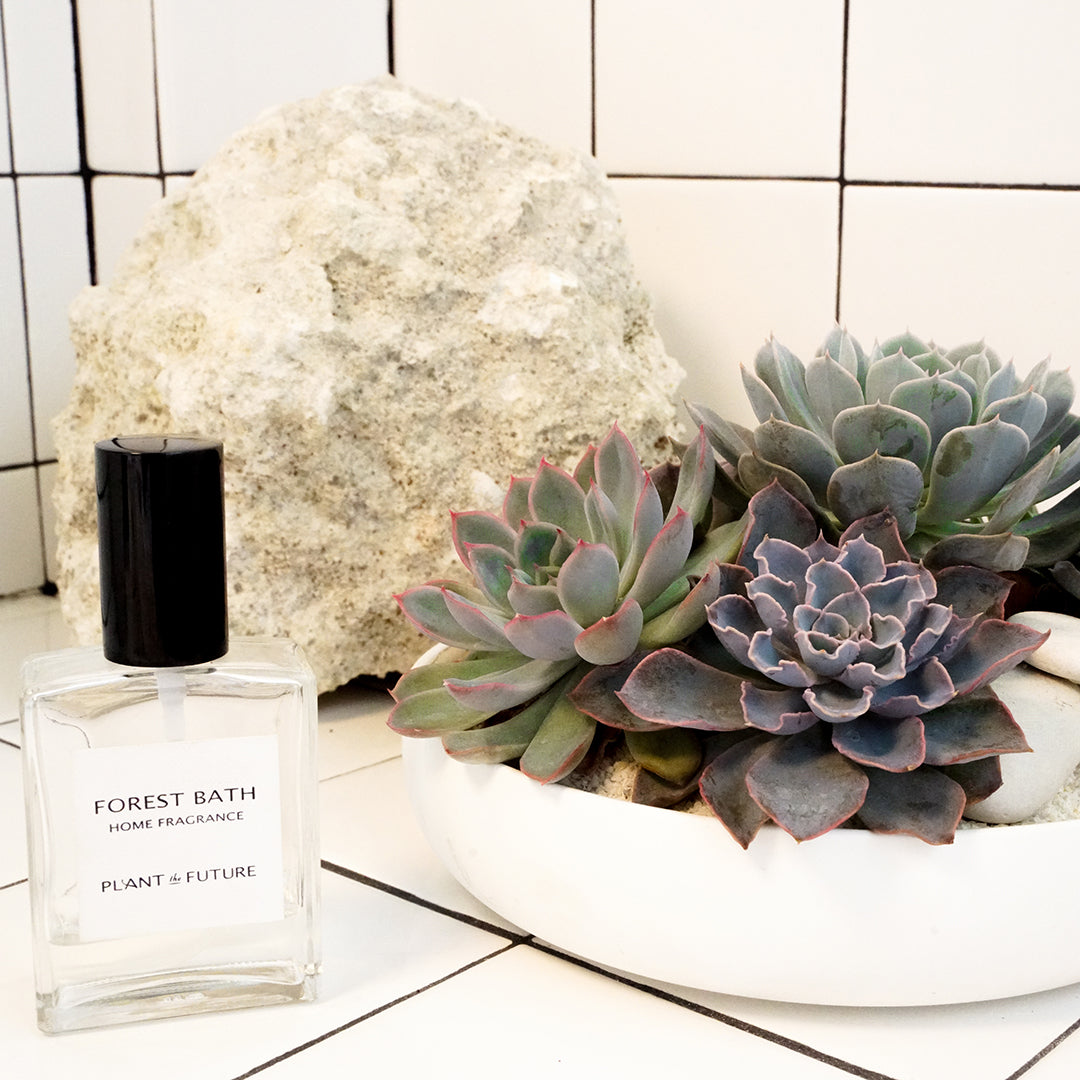 Home Fragrance - Forest Bath