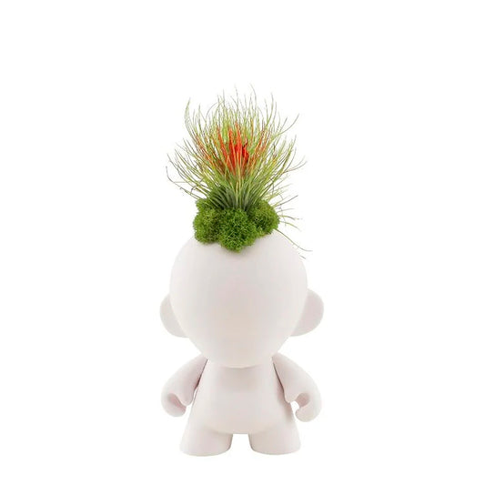 Munny Mohawk - Andreana Airplants