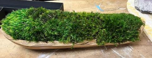 Teak Trough Small - Moss