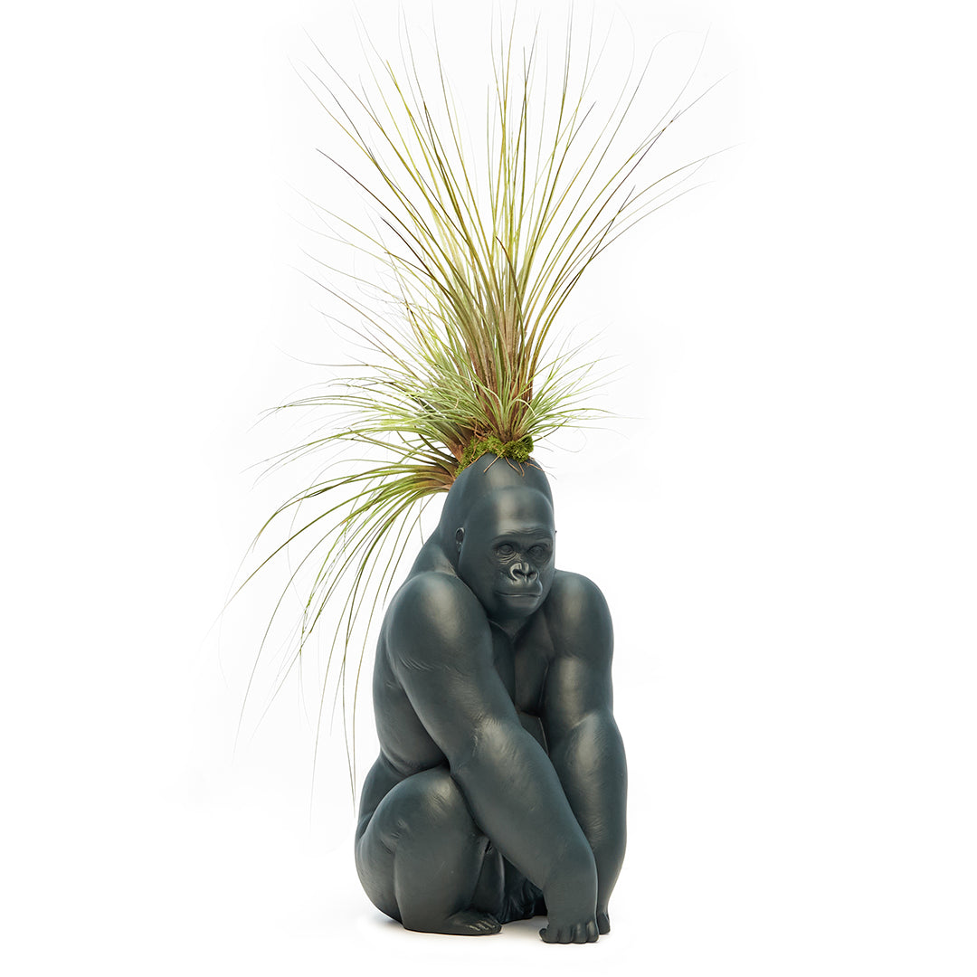 Lladró Porcelain - Gorilla With Airplants (Black)