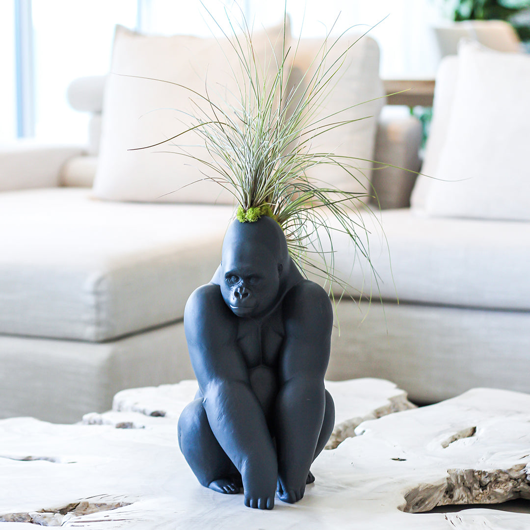 Lladró Porcelain - Gorilla With Airplants (Black)