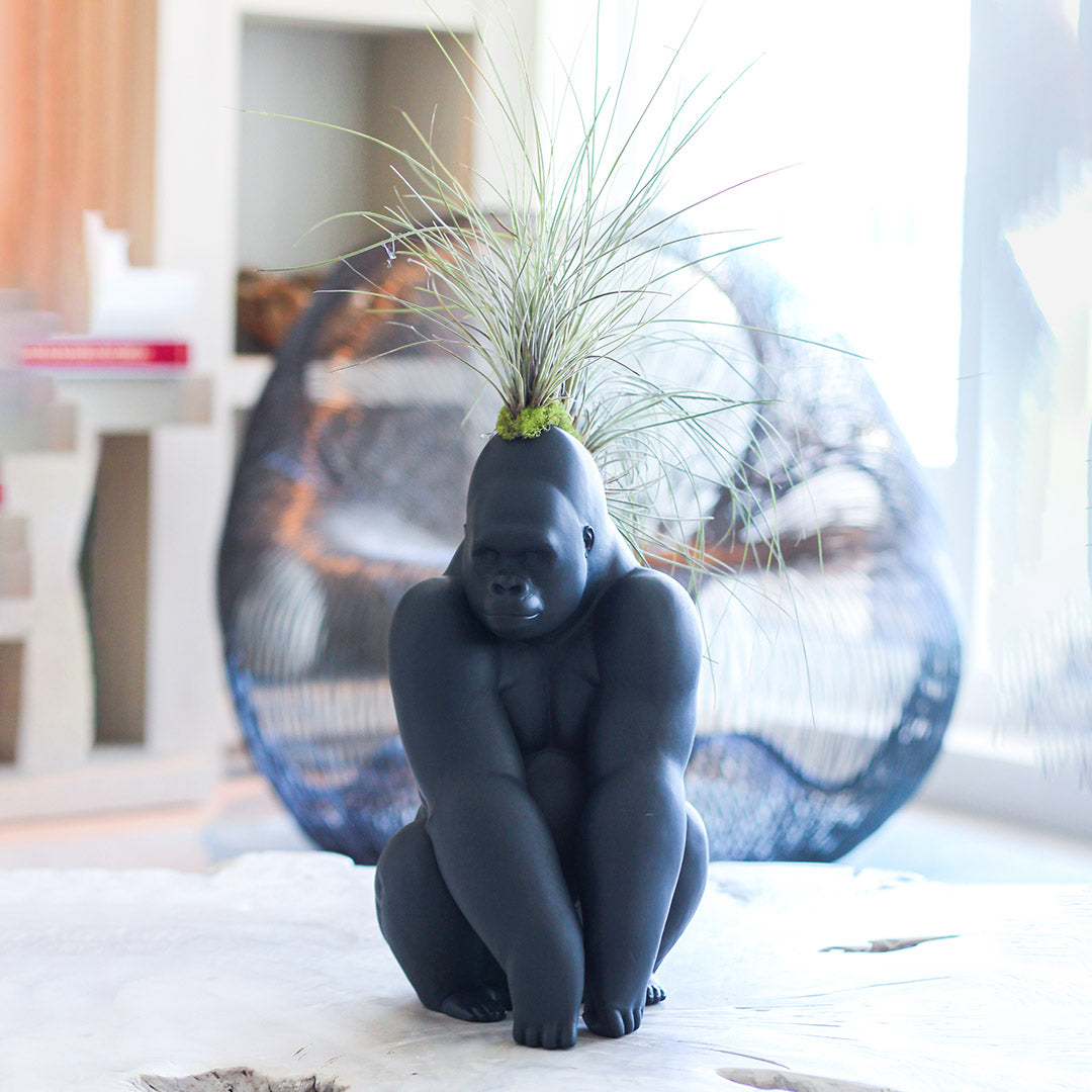 Lladró Porcelain - Gorilla With Airplants (Black)