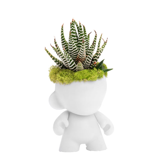 Munny Mini Garden - Succulent