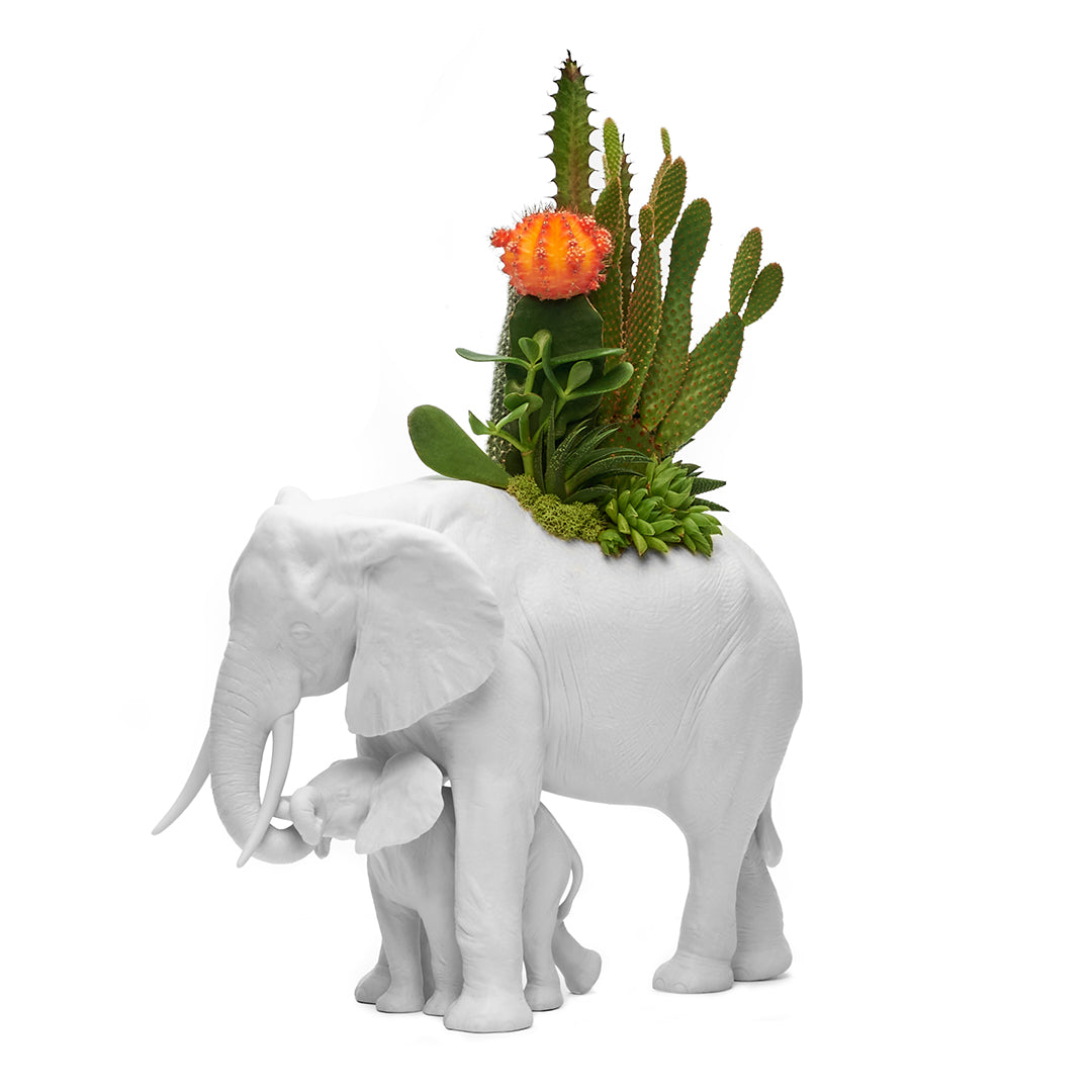 Lladró - Gorilla With Airplants (White) - PLANT THE FUTURE