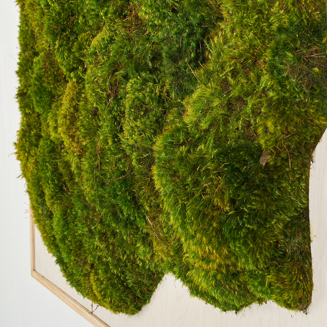 Moss Art - Abstract Series No. 054 (3' x 2')