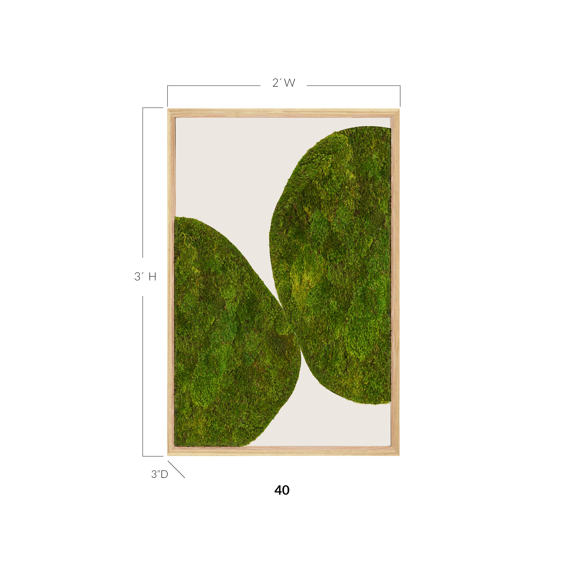 Moss Art - Abstract Series No. 049 (3' x 2')