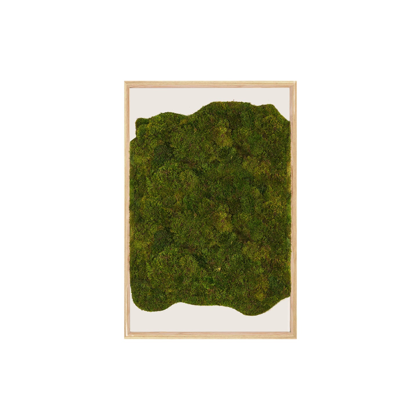 Moss Art - Abstract Series No. 054 (3' x 2')